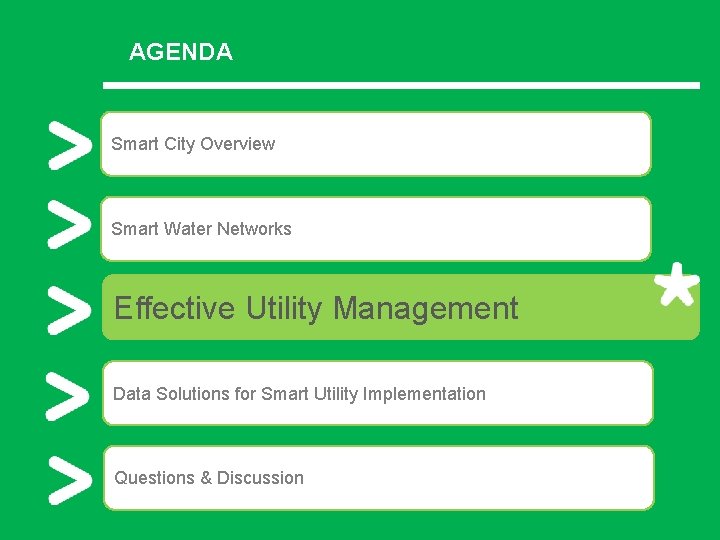AGENDA Smart City Overview Smart Water Networks Effective Utility Management Data Solutions for Smart