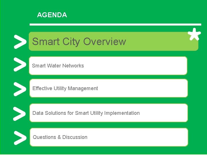 AGENDA Smart City Overview Smart Water Networks Effective Utility Management Data Solutions for Smart