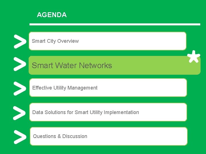 AGENDA Smart City Overview Smart Water Networks Effective Utility Management Data Solutions for Smart