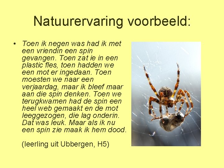 Natuurervaring voorbeeld: • Toen ik negen was had ik met een vriendin een spin