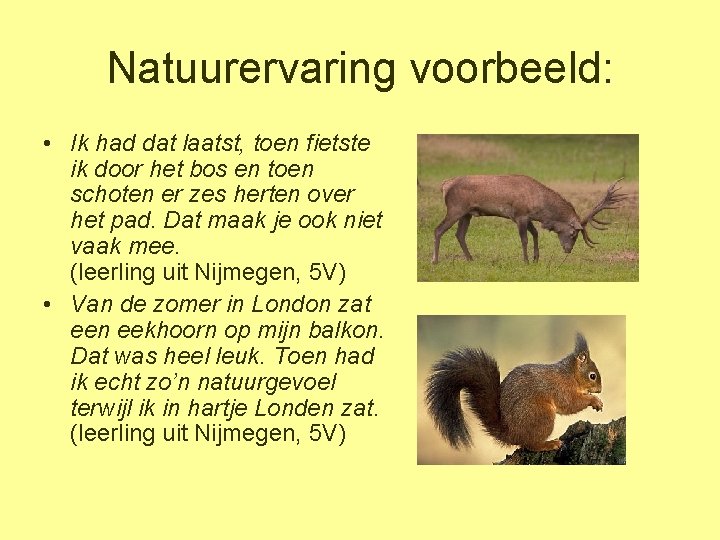 Natuurervaring voorbeeld: • Ik had dat laatst, toen fietste ik door het bos en