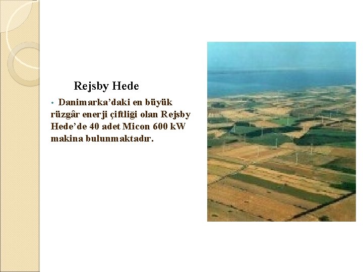  Rejsby Hede • Danimarka’daki en büyük rüzgâr enerji çiftliği olan Rejsby Hede’de 40