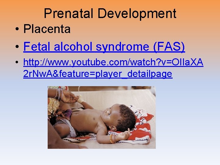 Prenatal Development • Placenta • Fetal alcohol syndrome (FAS) • http: //www. youtube. com/watch?