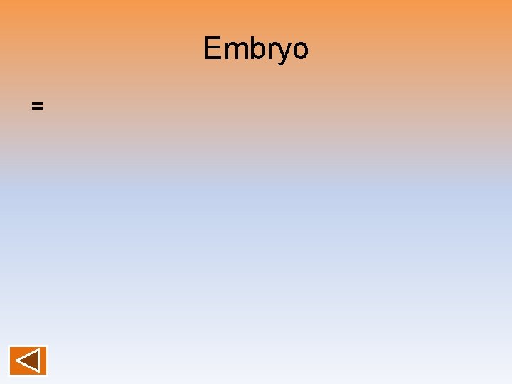 Embryo = 