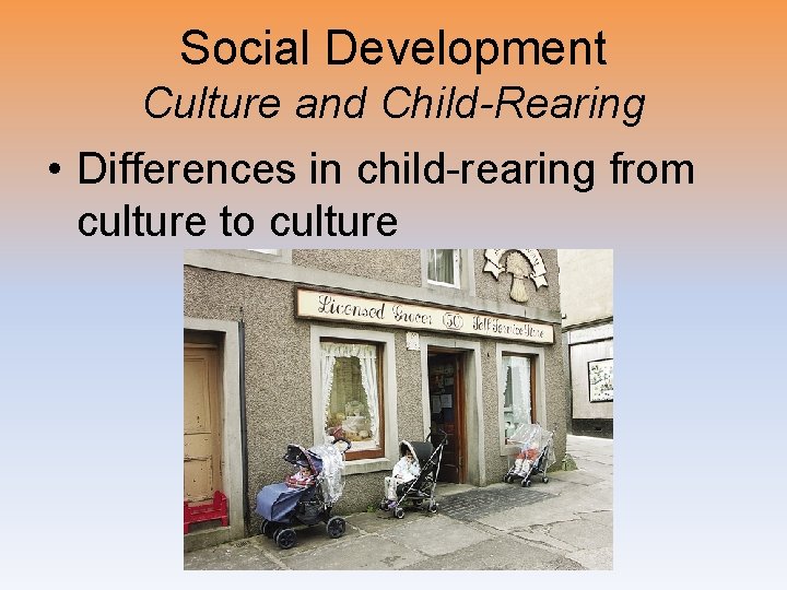 Social Development Culture and Child-Rearing • Differences in child-rearing from culture to culture 