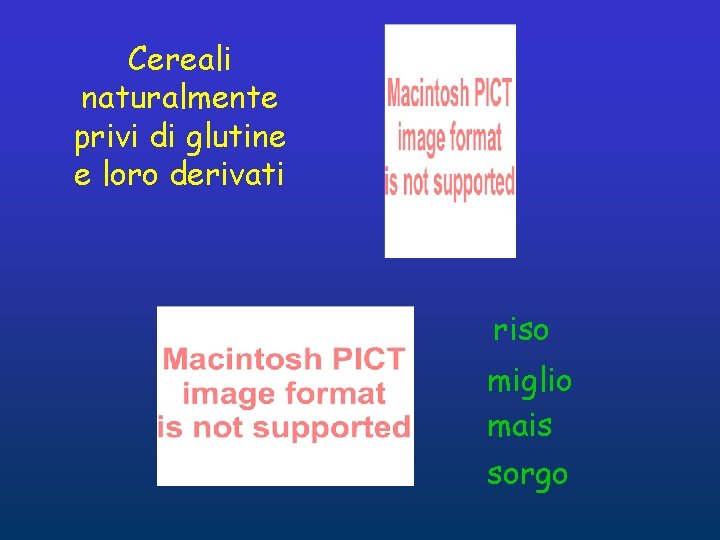 Cereali naturalmente privi di glutine e loro derivati riso miglio mais sorgo Cereali naturalmente privi di glutine e loro derivati riso miglio mais sorgo