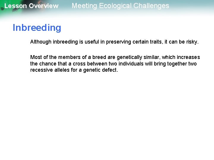 Lesson Overview Meeting Ecological Challenges Inbreeding Although inbreeding is useful in preserving certain traits,
