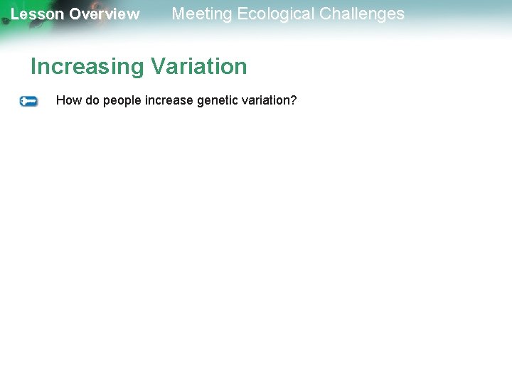 Lesson Overview Meeting Ecological Challenges Increasing Variation How do people increase genetic variation? 