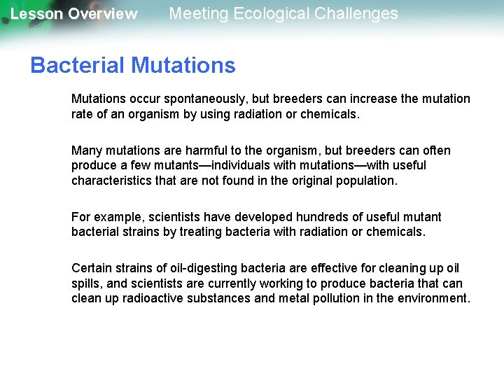 Lesson Overview Meeting Ecological Challenges Bacterial Mutations occur spontaneously, but breeders can increase the