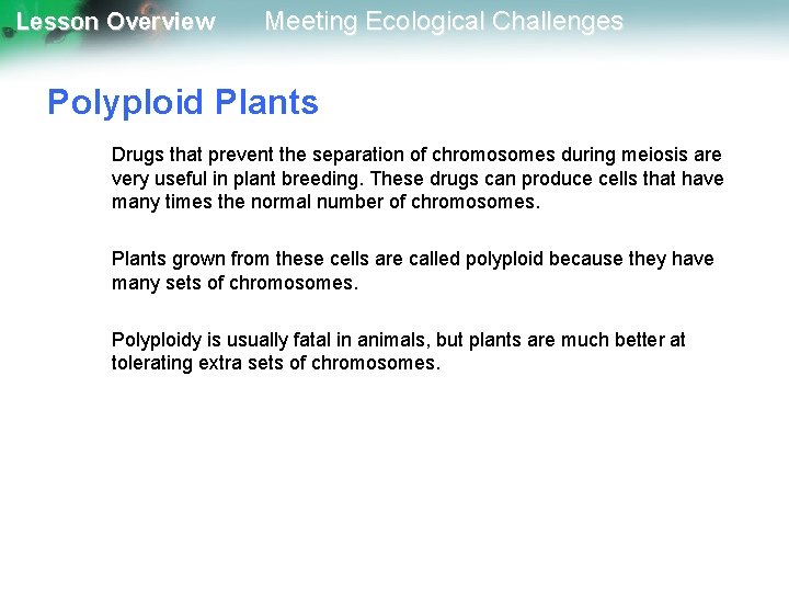 Lesson Overview Meeting Ecological Challenges Polyploid Plants Drugs that prevent the separation of chromosomes