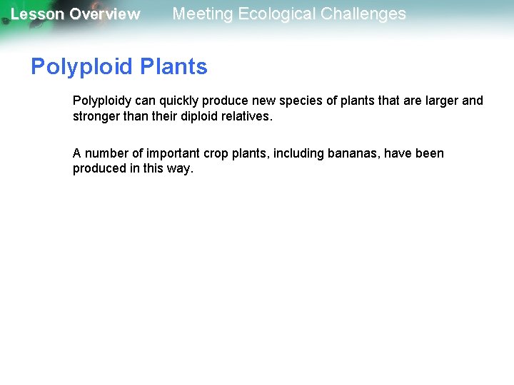 Lesson Overview Meeting Ecological Challenges Polyploid Plants Polyploidy can quickly produce new species of