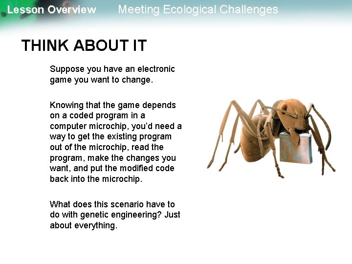 Lesson Overview Meeting Ecological Challenges THINK ABOUT IT Suppose you have an electronic game