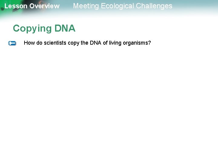 Lesson Overview Meeting Ecological Challenges Copying DNA How do scientists copy the DNA of