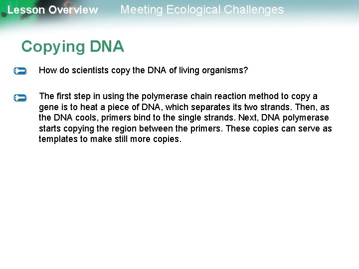 Lesson Overview Meeting Ecological Challenges Copying DNA How do scientists copy the DNA of