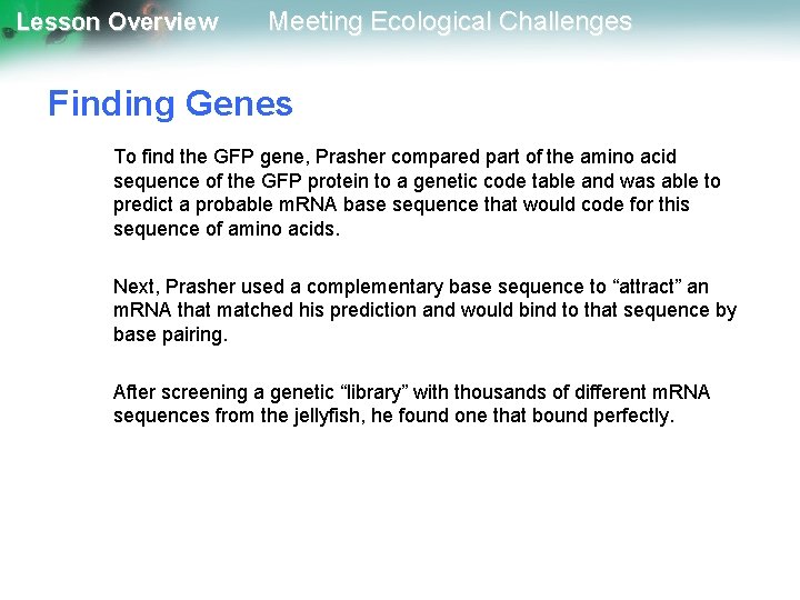 Lesson Overview Meeting Ecological Challenges Finding Genes To find the GFP gene, Prasher compared