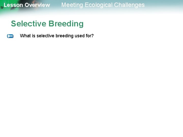 Lesson Overview Meeting Ecological Challenges Selective Breeding What is selective breeding used for? 