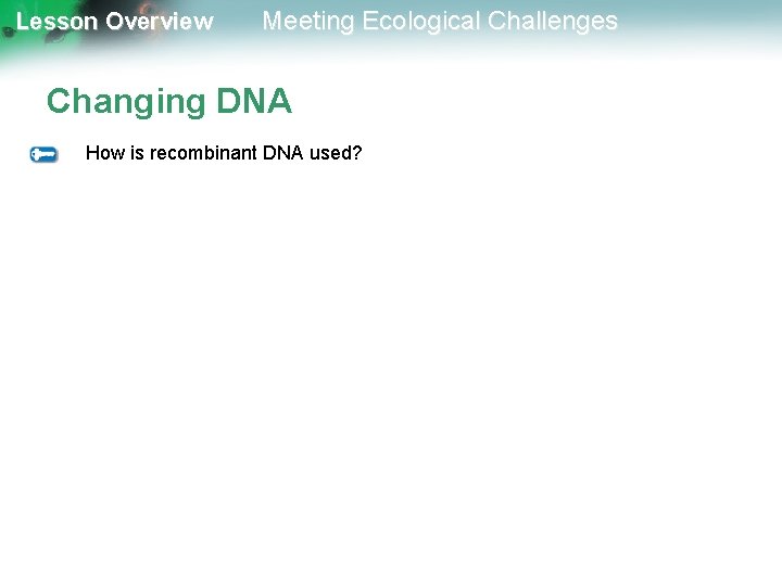 Lesson Overview Meeting Ecological Challenges Changing DNA How is recombinant DNA used? 