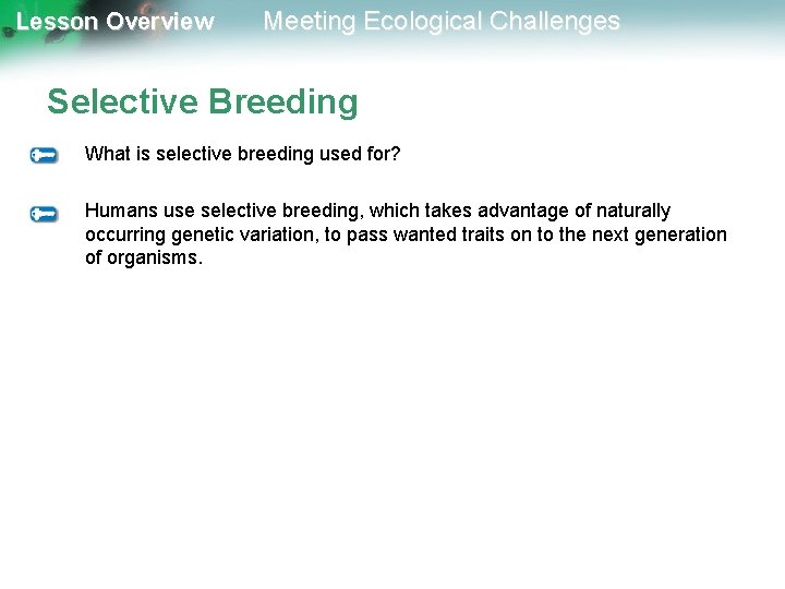 Lesson Overview Meeting Ecological Challenges Selective Breeding What is selective breeding used for? Humans