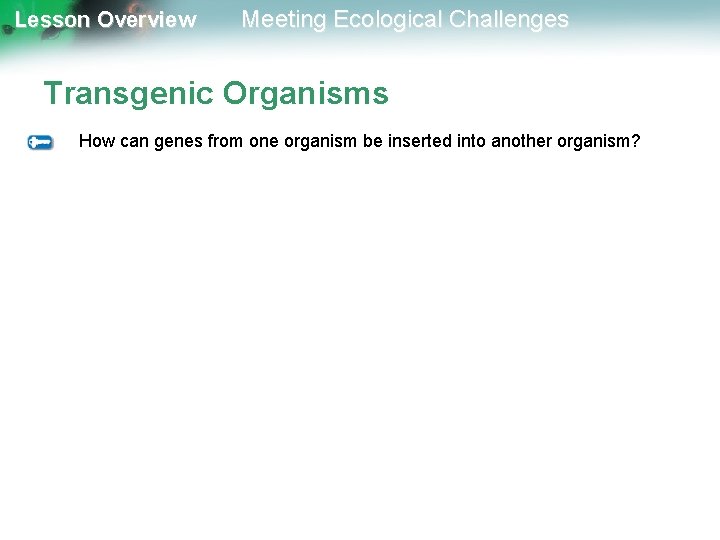 Lesson Overview Meeting Ecological Challenges Transgenic Organisms How can genes from one organism be