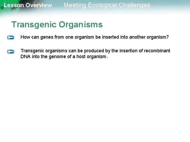 Lesson Overview Meeting Ecological Challenges Transgenic Organisms How can genes from one organism be