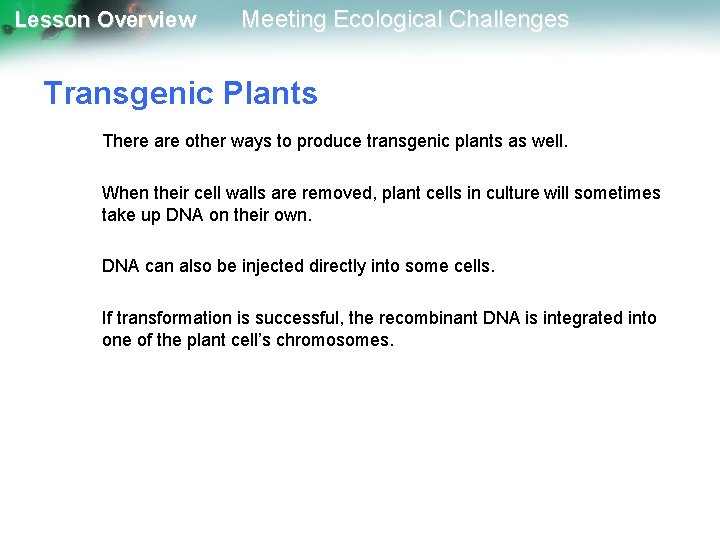 Lesson Overview Meeting Ecological Challenges Transgenic Plants There are other ways to produce transgenic