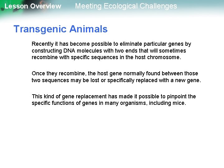 Lesson Overview Meeting Ecological Challenges Transgenic Animals Recently it has become possible to eliminate