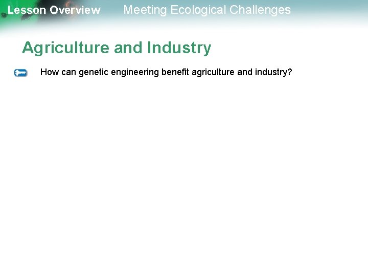 Lesson Overview Meeting Ecological Challenges Agriculture and Industry How can genetic engineering benefit agriculture