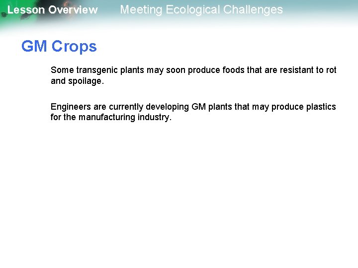Lesson Overview Meeting Ecological Challenges GM Crops Some transgenic plants may soon produce foods