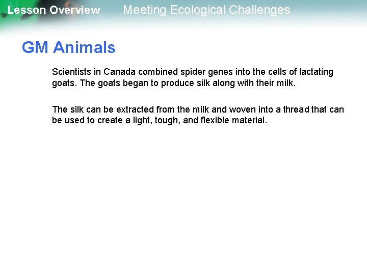 Lesson Overview Meeting Ecological Challenges GM Animals Scientists in Canada combined spider genes into