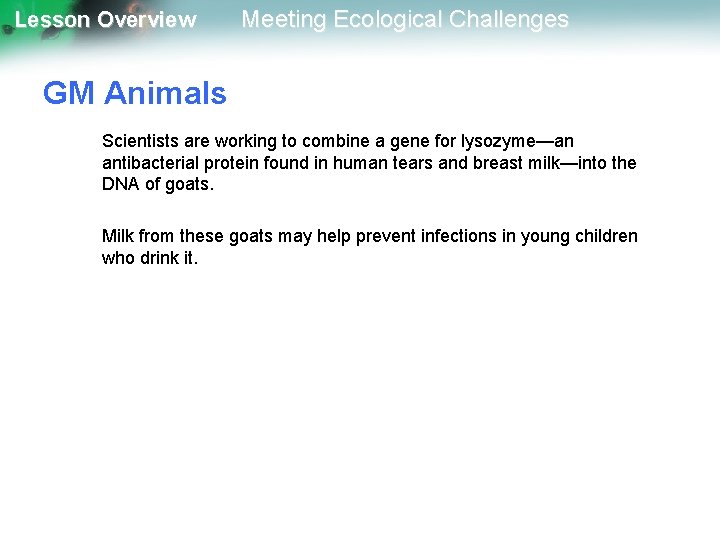 Lesson Overview Meeting Ecological Challenges GM Animals Scientists are working to combine a gene