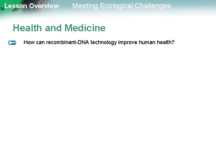 Lesson Overview Meeting Ecological Challenges Health and Medicine How can recombinant-DNA technology improve human