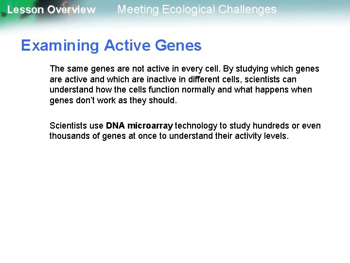 Lesson Overview Meeting Ecological Challenges Examining Active Genes The same genes are not active