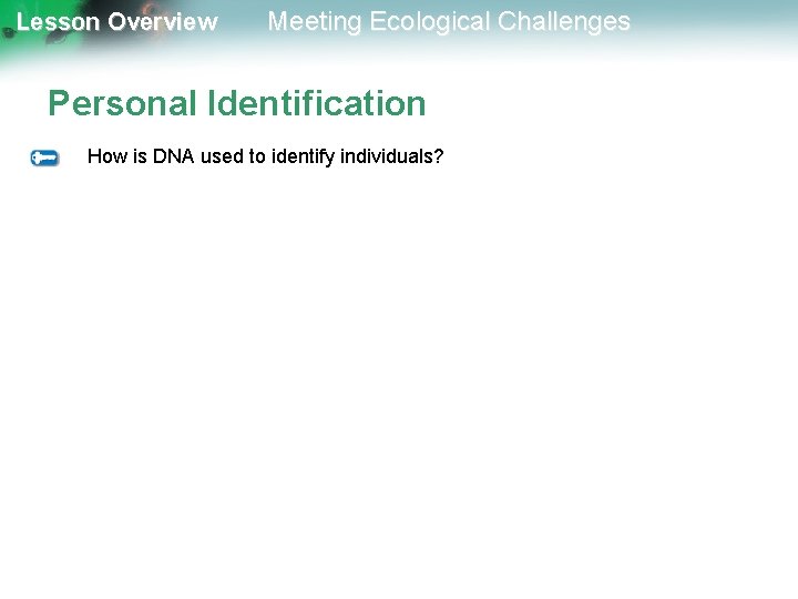 Lesson Overview Meeting Ecological Challenges Personal Identification How is DNA used to identify individuals?