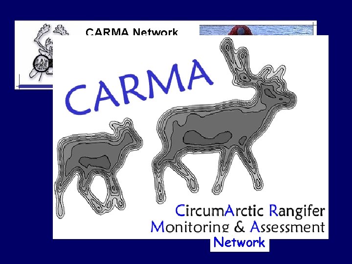 CARMA Network (Circum-Arctic Rangifer Monitoring & Assessment Network) Third Meeting November 28 -30, 2006