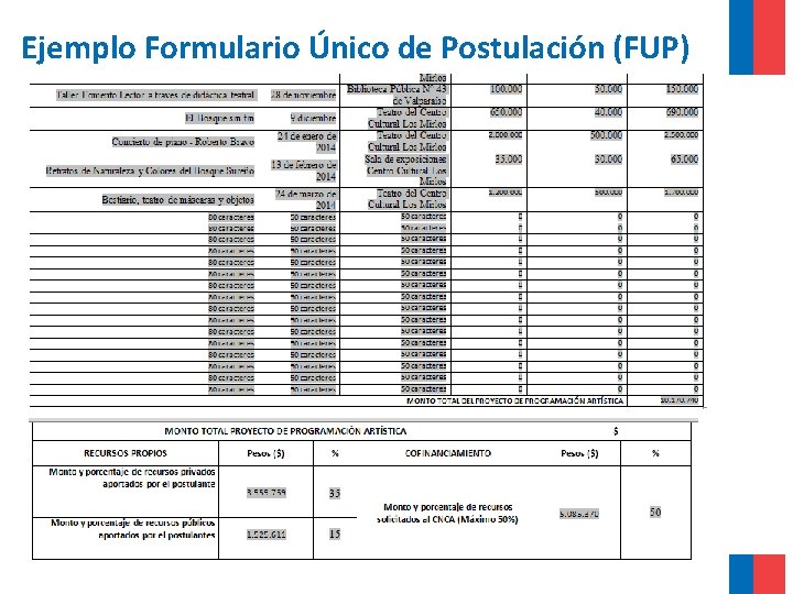 Ejemplo Formulario Único de Postulación (FUP) 