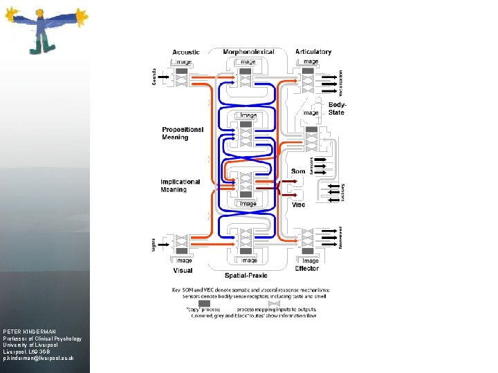 PETER KINDERMAN Professor of Clinical Psychology University of Liverpool. L 69 3 GB p.