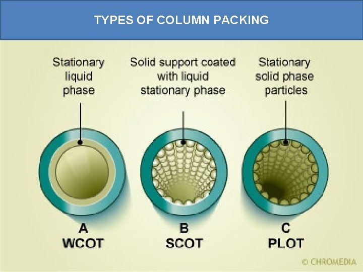 TYPES OF COLUMN PACKING 