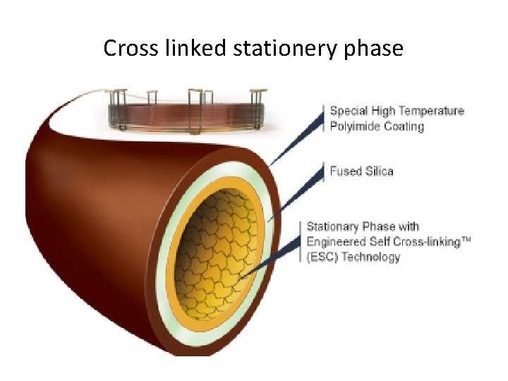 Cross linked stationery phase 