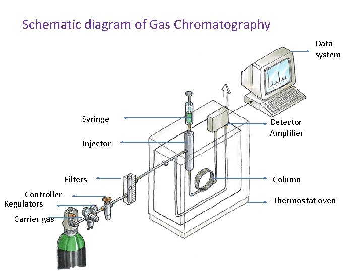 Schematic diagram of Gas Chromatography Data system Syringe Injector Filters Controller Regulators Carrier gas