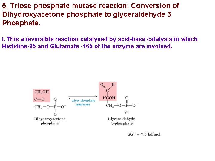 5. Triose phosphate mutase reaction: Conversion of Dihydroxyacetone phosphate to glyceraldehyde 3 Phosphate. I.