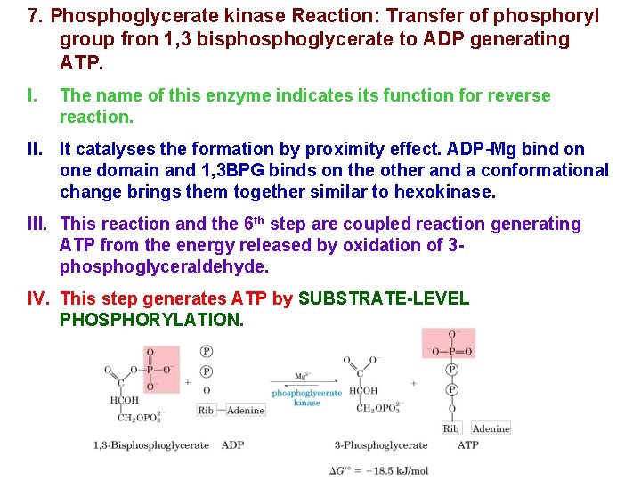 7. Phosphoglycerate kinase Reaction: Transfer of phosphoryl group fron 1, 3 bisphoglycerate to ADP