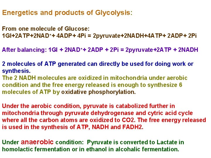 Energetics and products of Glycolysis: From one molecule of Glucose: 1 Gl+2 ATP+2 NAD++