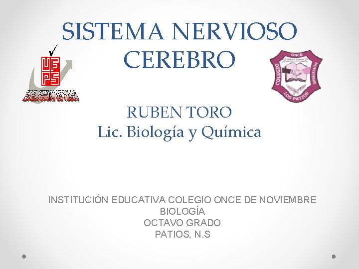 SISTEMA NERVIOSO CEREBRO RUBEN TORO Lic. Biología y Química INSTITUCIÓN EDUCATIVA COLEGIO ONCE DE