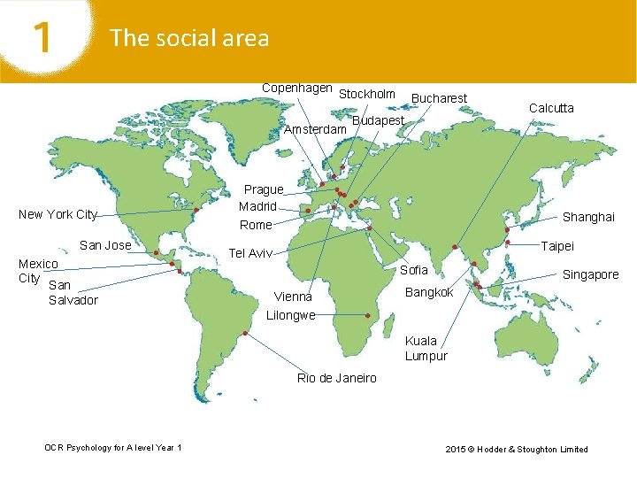 The social area Copenhagen Stockholm Amsterdam New York City San Jose Mexico City San