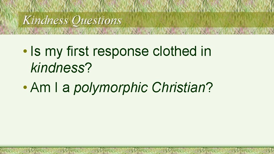 Kindness Questions • Is my first response clothed in kindness? • Am I a