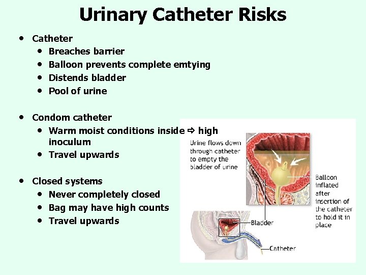 Urinary Catheter Risks • Catheter • Breaches barrier • Balloon prevents complete emtying • Urinary Catheter Risks • Catheter • Breaches barrier • Balloon prevents complete emtying •