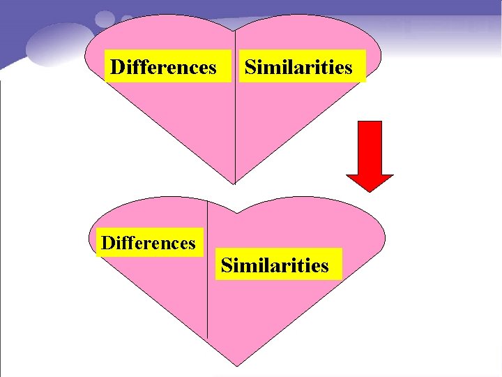 Differences Similarities 