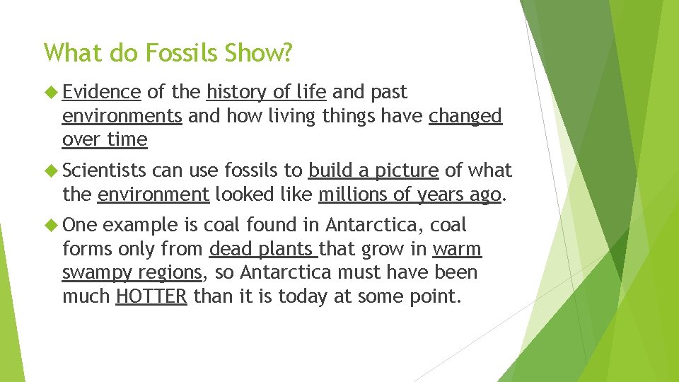 What do Fossils Show? Evidence of the history of life and past environments and