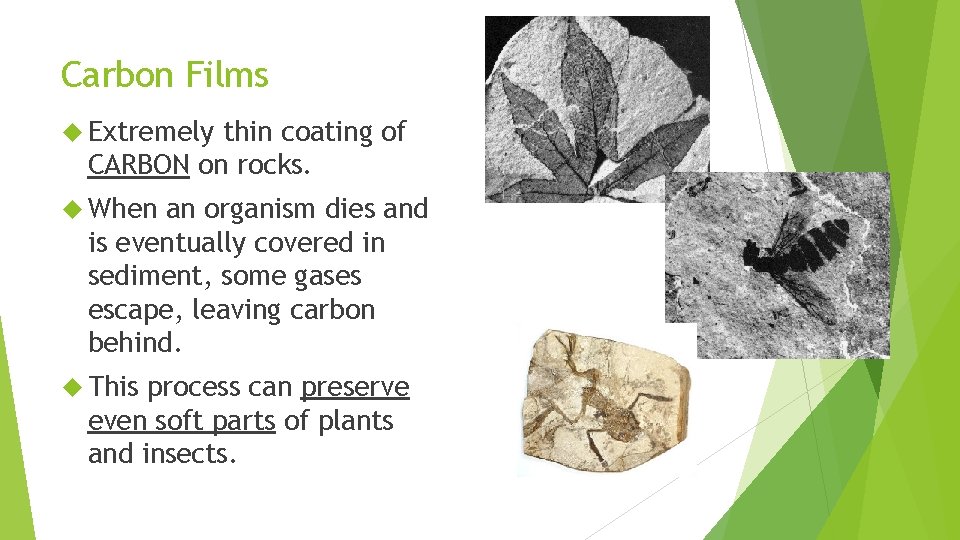 Carbon Films Extremely thin coating of CARBON on rocks. When an organism dies and