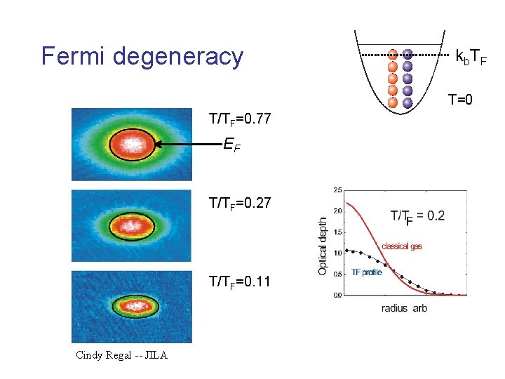 Fermi degeneracy kb. TF T=0 T/TF=0. 77 EF T/TF=0. 27 T/TF=0. 11 Cindy Regal